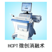 hcpt΢