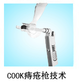 cook